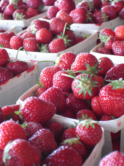 local strawberries